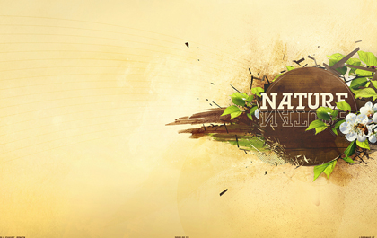 云呼死你网页版